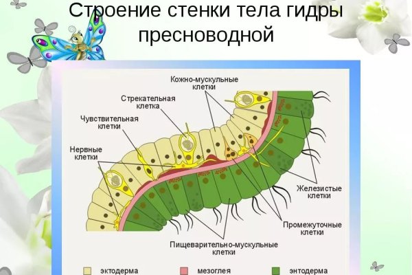 Магазин кракен дарк