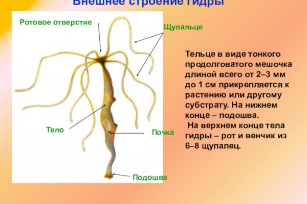 Как выводить деньги с кракена