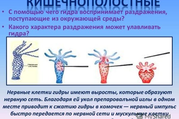 Kraken market ссылка тор