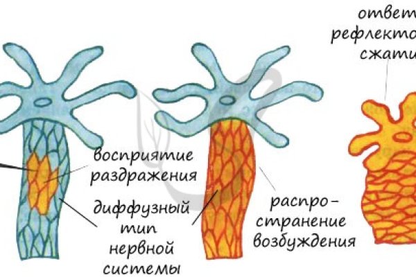 Кракен сайт купить наркотики