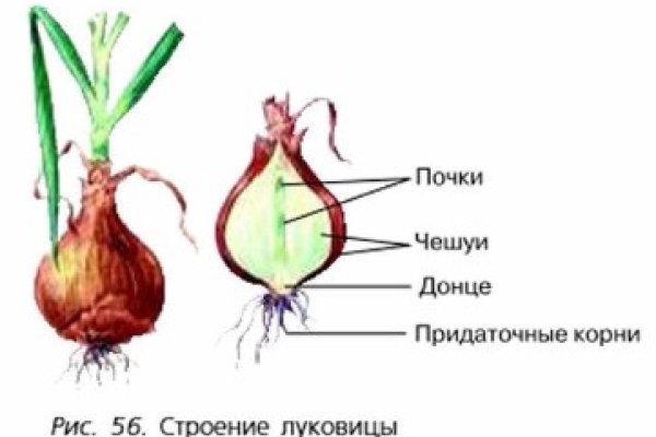 Кракен сайт kr2web in зарегистрироваться